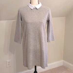 Zara Sweatshirt dress w/collar. Size Small.